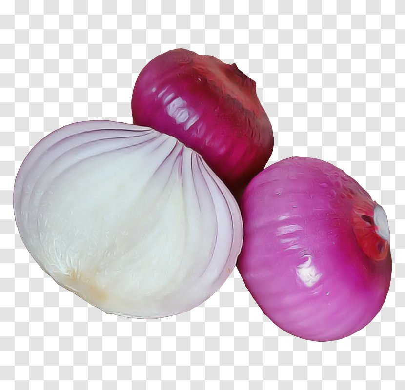 Red Onion Vegetable Food Allium - Amaryllis Family Shallot Transparent PNG