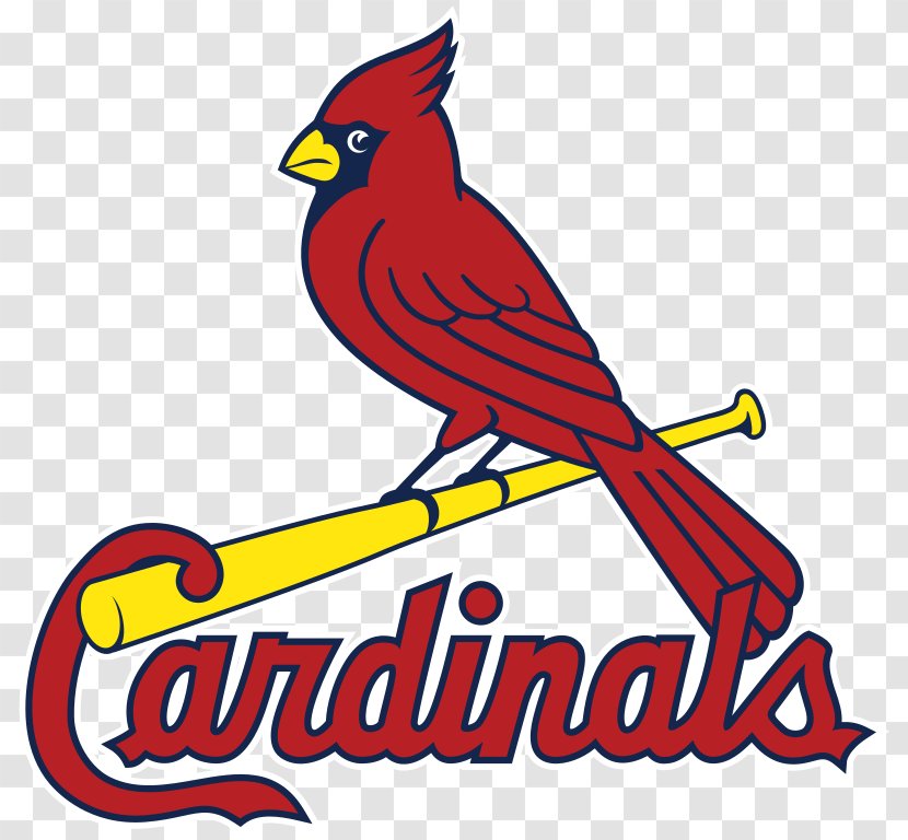 St. Louis Cardinals MLB Palm Beach Baseball - St - Street Transparent PNG