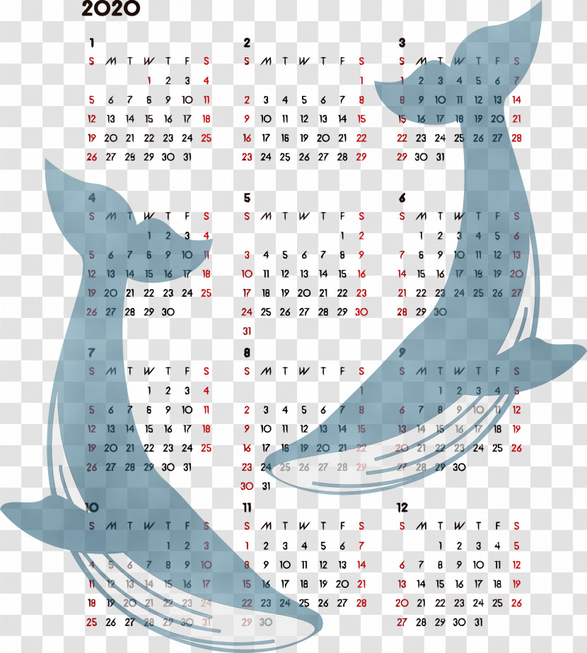Animal Figure Fish Pattern Transparent PNG