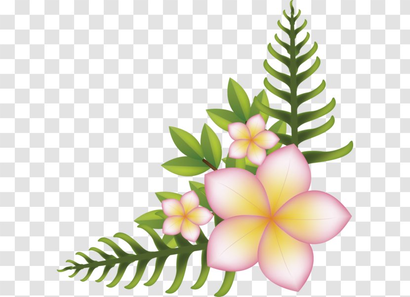 Right Angle Flower Vector Graphics Image - Flowering Plant Transparent PNG
