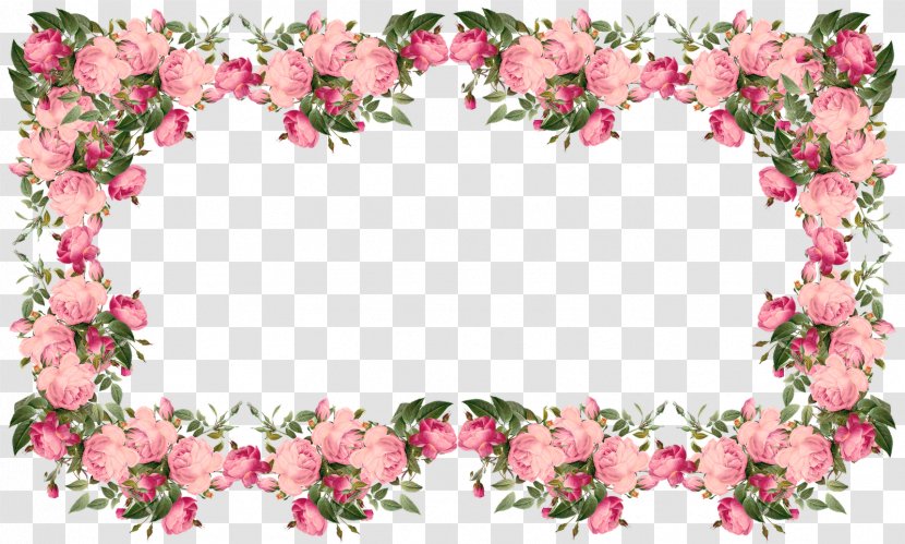 Borders And Frames Flower Clip Art - Flowering Plant - Border Transparent PNG