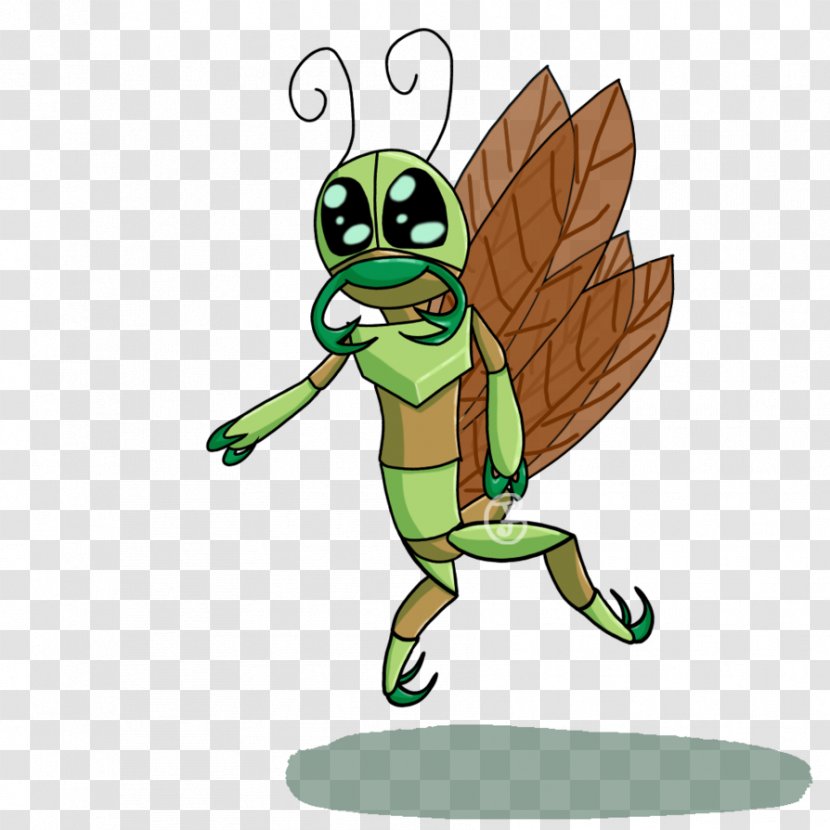 Tortoise Turtle Insect Amphibian - Fictional Character - Net Winged Insects Transparent PNG