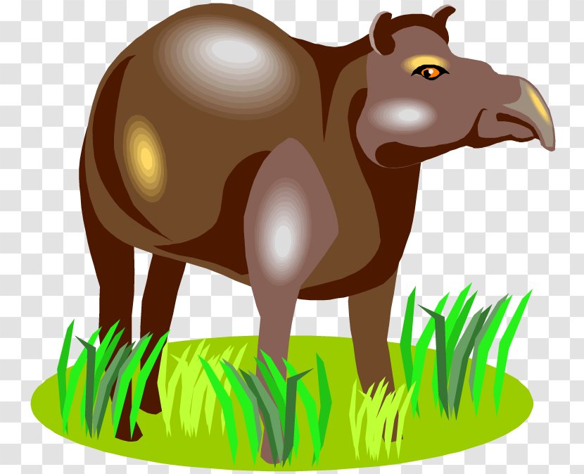 Horse Tapir Clip Art Illustration Image - Fauna Transparent PNG