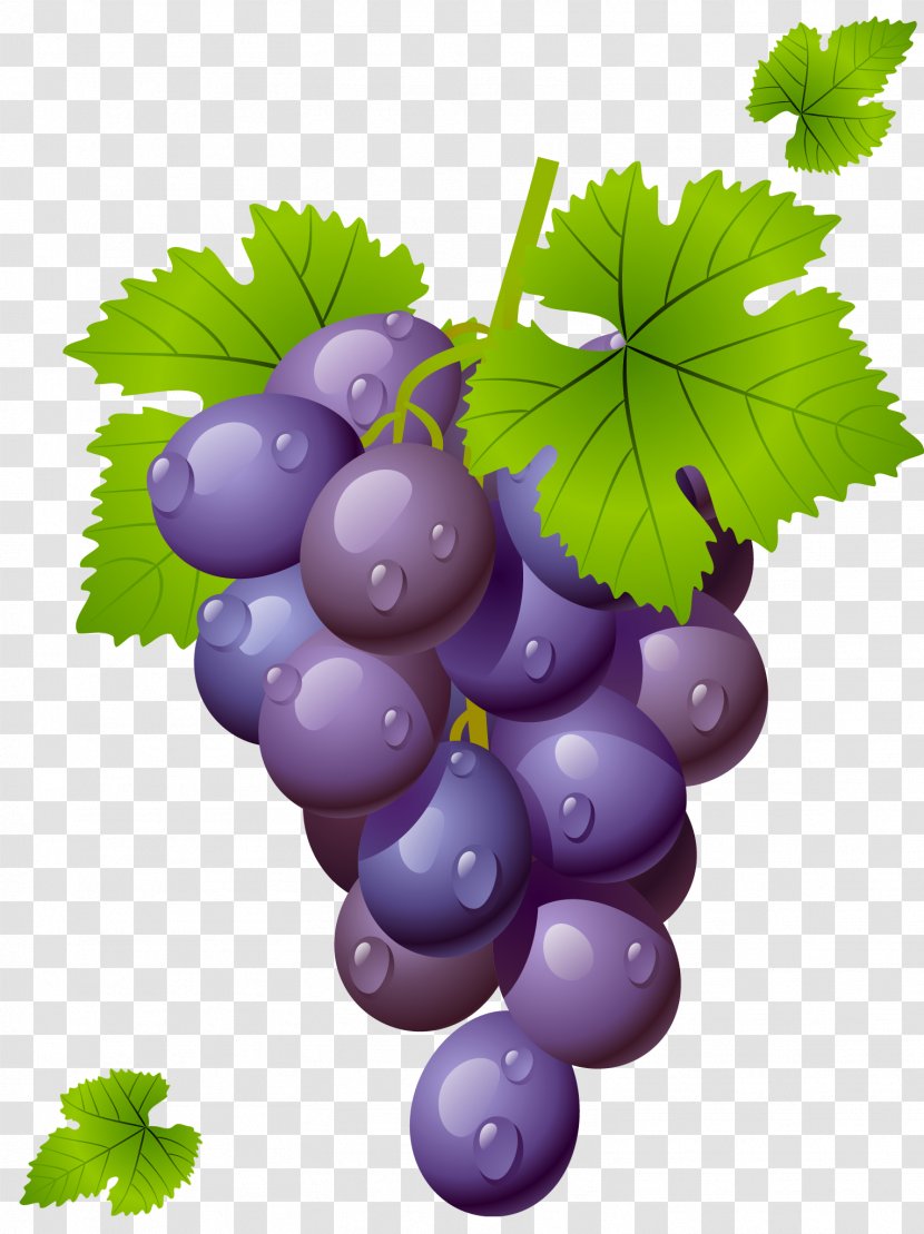 Wine Common Grape Vine Leaves Clip Art - Plant - With Clipart Picture Transparent PNG