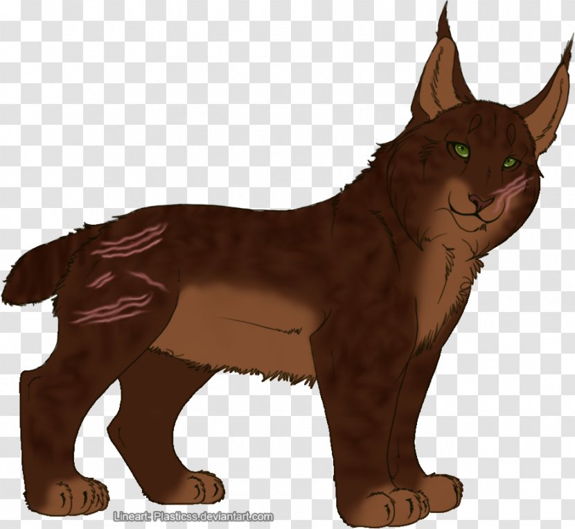 Whiskers Dog Fur Character Fiction - Like Mammal Transparent PNG