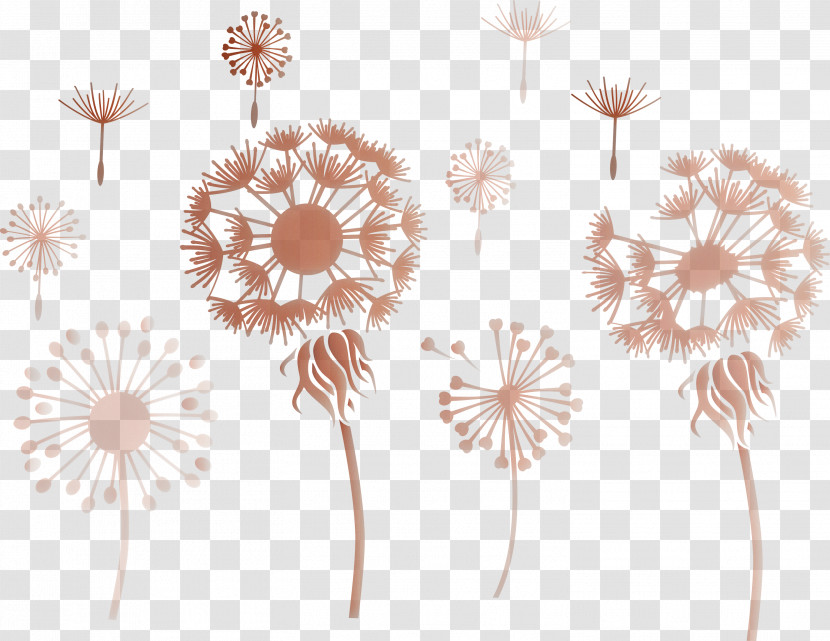 Dandelion Transparent PNG