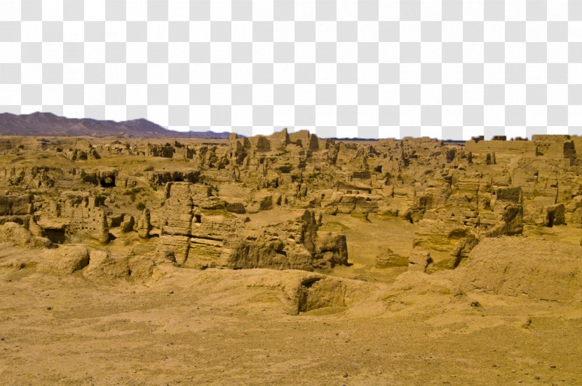 Gobi Desert Tarim Basin Camel - Quantum Computing - Yellow Belt Transparent PNG