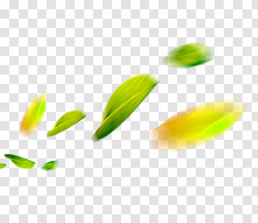 Petal Download - Yellow - Blur Leaves Transparent PNG