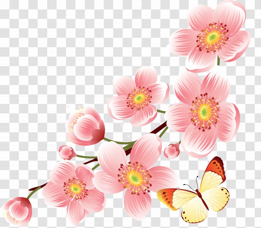 Cherry Blossom Clip Art - Cut Flowers Transparent PNG