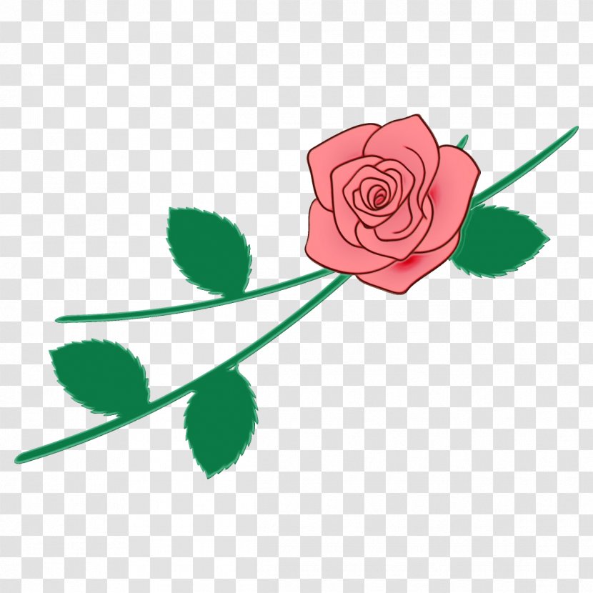 Garden Roses - Paint - Pedicel Leaf Transparent PNG