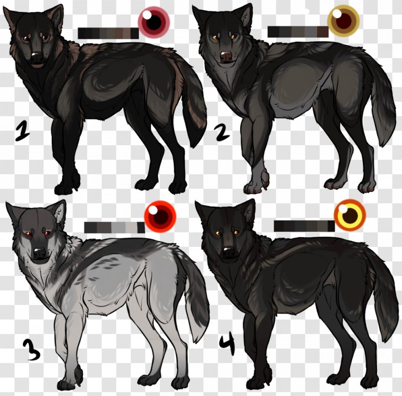 Dog Breed Schipperke Cat Character Mammal Transparent PNG