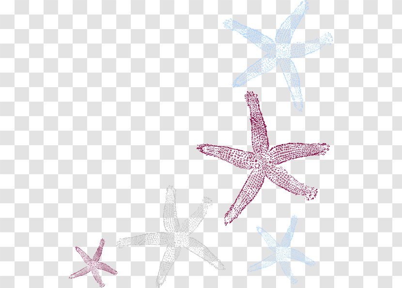 Starfish Royalty-free Clip Art Transparent PNG