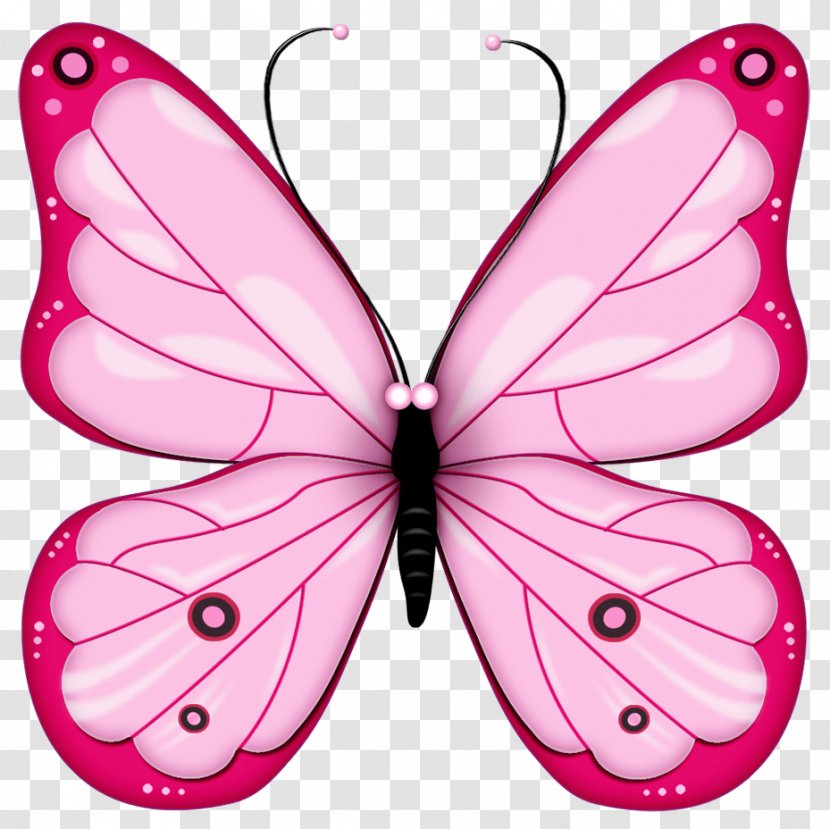 Butterfly Clip Art - Brush Footed Transparent PNG