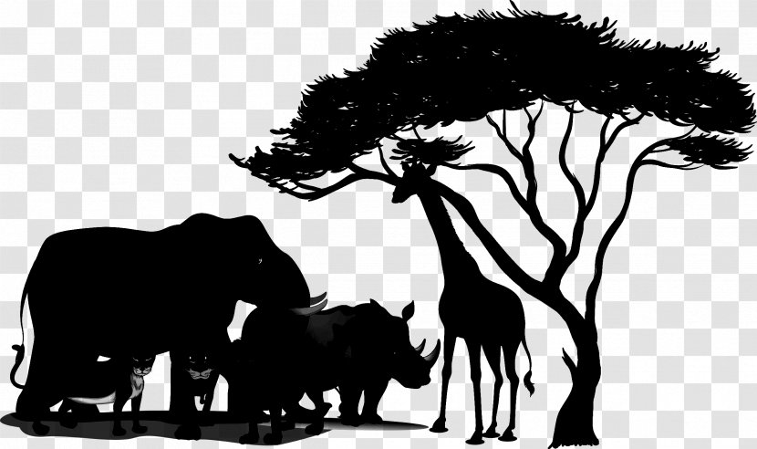 Stock Photography Illustration Royalty-free Vector Graphics Image - Blackandwhite - Indian Elephant Transparent PNG
