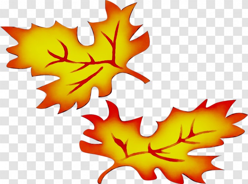 Maple Leaf Yellow Clip Art - Woody Plant - Tree Transparent PNG