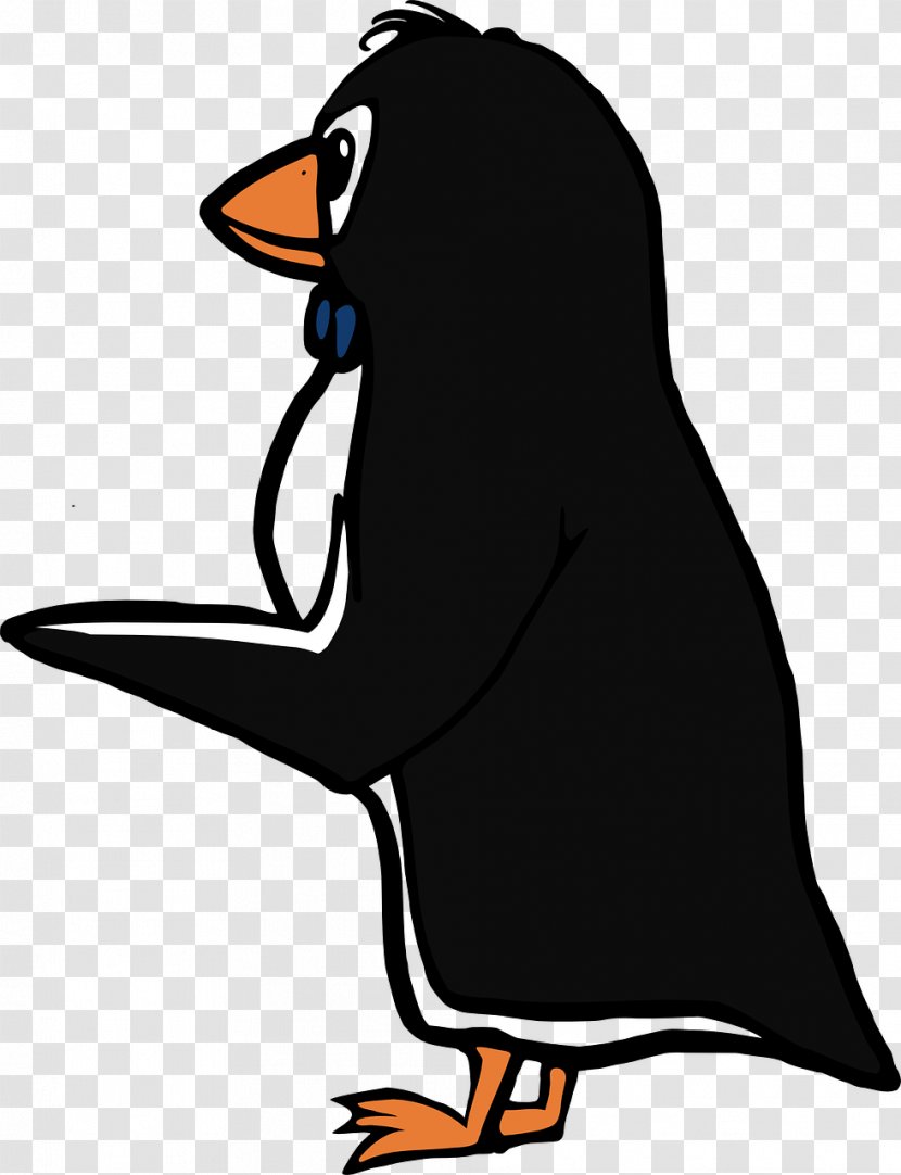 Penguin - Seals - Organism Transparent PNG