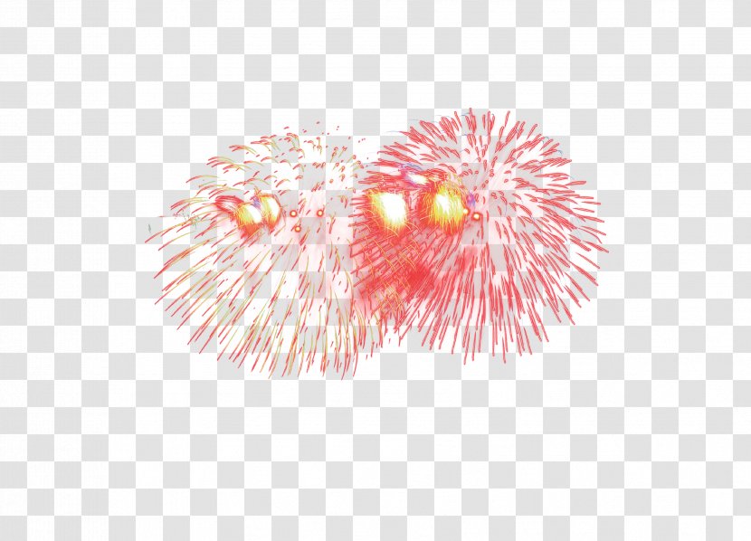 Fireworks Christmas High-definition Television - Petal - Colorful HD Clips Transparent PNG