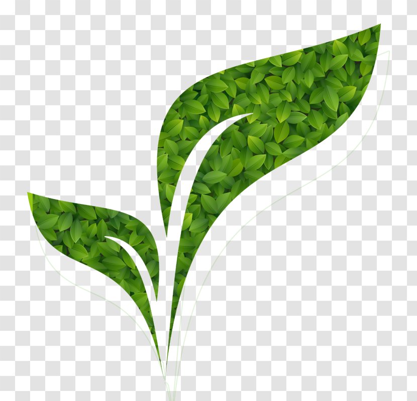 Image Environmentally Friendly Vector Graphics Stock Illustration Ink - Banner - Agro Transparent PNG