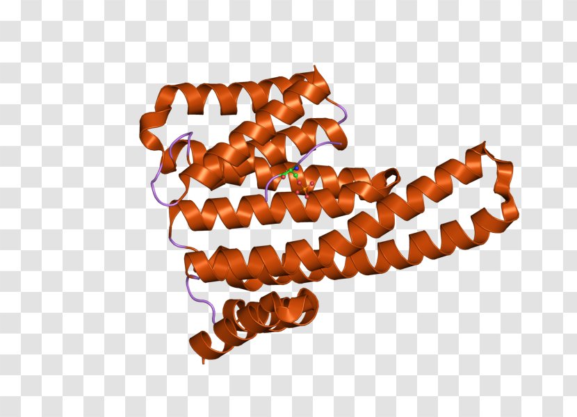 YWHAE 14-3-3 Protein Gene Font - Wikipedia Transparent PNG