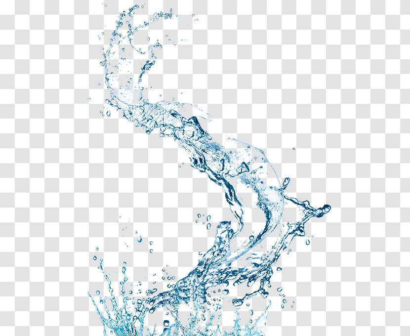 Bubble Water Drop - Branch Transparent PNG
