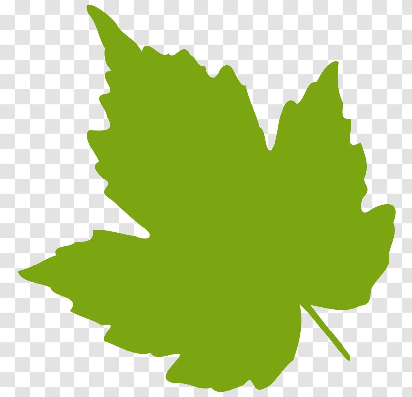 Grape Leaves Leaf Grapevines Clip Art - Vine - Green Clipart Transparent PNG