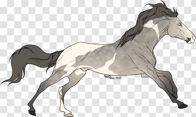 Stallion Foal Mustang Colt Mare - Saddle - Spirit Transparent PNG