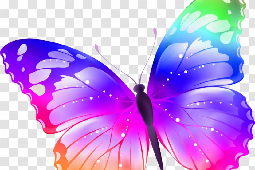 Butterfly Sticker Insect Clip Art Transparent PNG