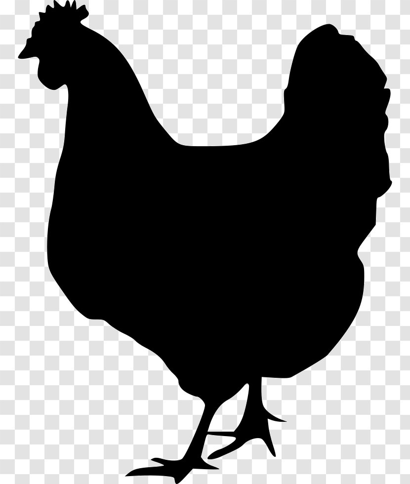 Chicken Rooster Silhouette Clip Art - Livestock - Hen Transparent PNG