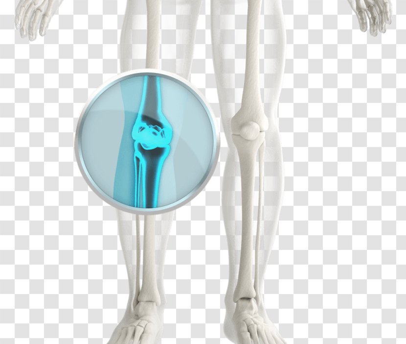 Shoulder Knee - Design Transparent PNG