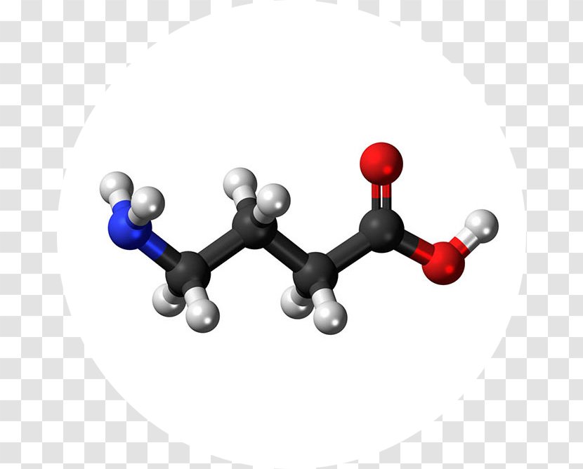 Dietary Supplement Gamma-Aminobutyric Acid Neurotransmitter Central Nervous System - Excitatory Postsynaptic Potential - Gabah Transparent PNG