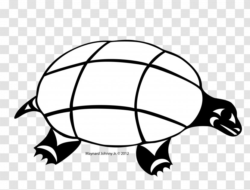 Tortoise Sea Turtle Gray Wolf Reptile Transparent PNG