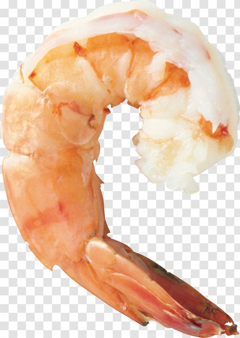 Shrimp Prawn Cocktail Seafood Cooking - And As Food - Shrimps Transparent PNG