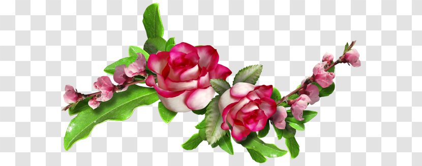 Floral Design - Flower - Plant Transparent PNG