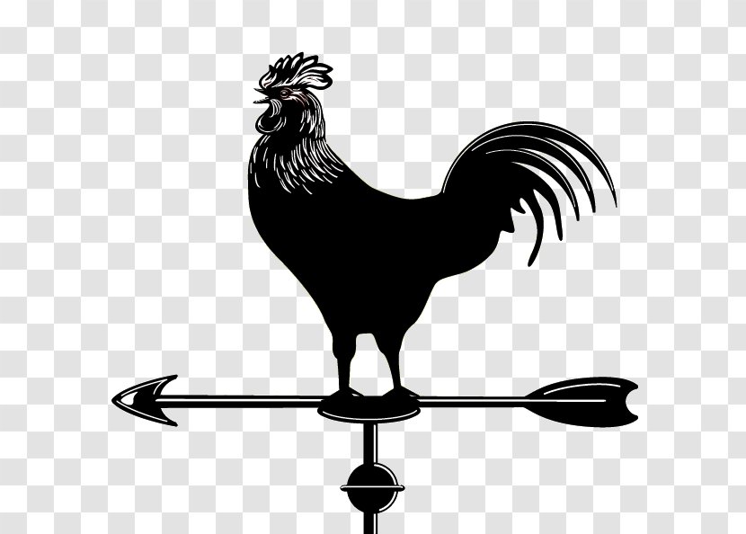 Rooster Beak White Chicken Meat Clip Art - Livestock - Bird Transparent PNG