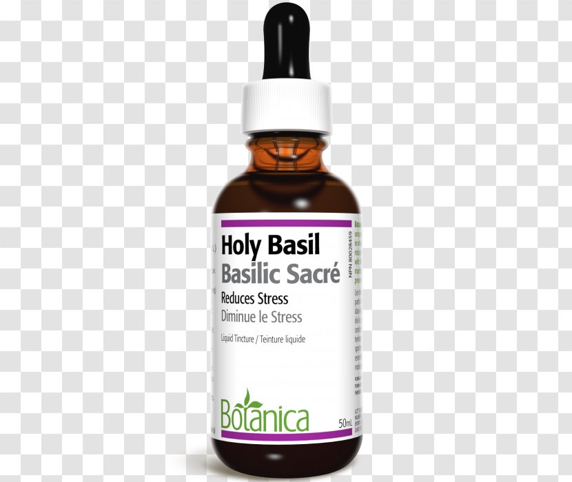 Product Milliliter Ginger - Liquid - Holy Basil Transparent PNG