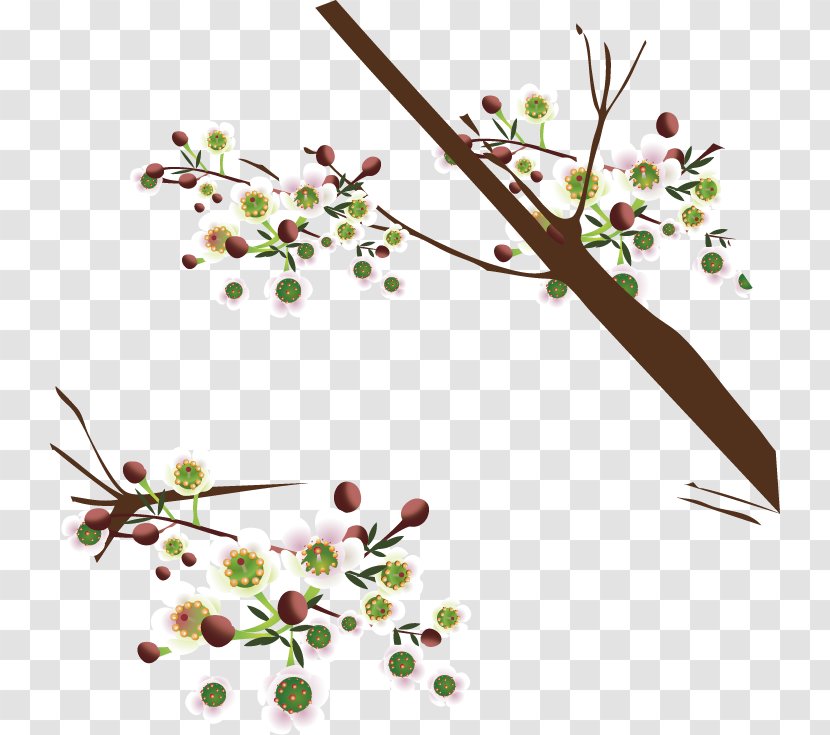 Lovebird Owl Tree - Floristry - Spring Transparent PNG