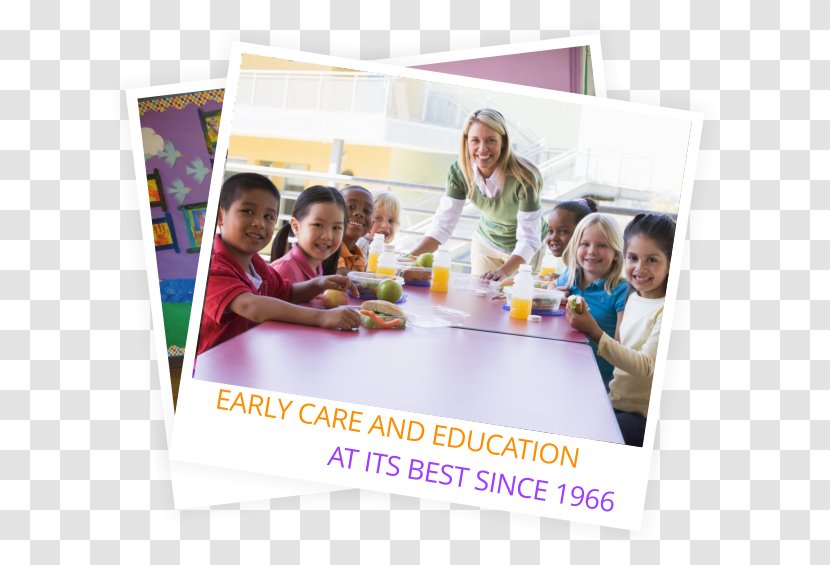 Education Learning Child School Meal - Lunch - Preschool Transparent PNG