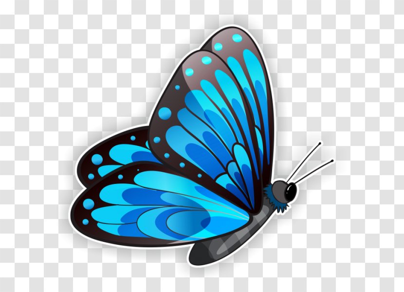 Clip Art Image Morpho Glasswing Butterfly - Gossamerwinged Butterflies - Adesivo Outline Transparent PNG