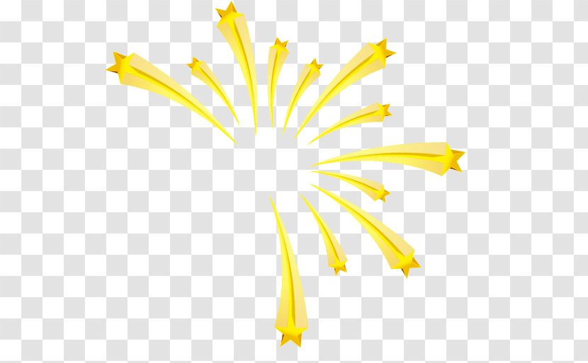 Graphic Design - Wing - Fireworks Material Transparent PNG