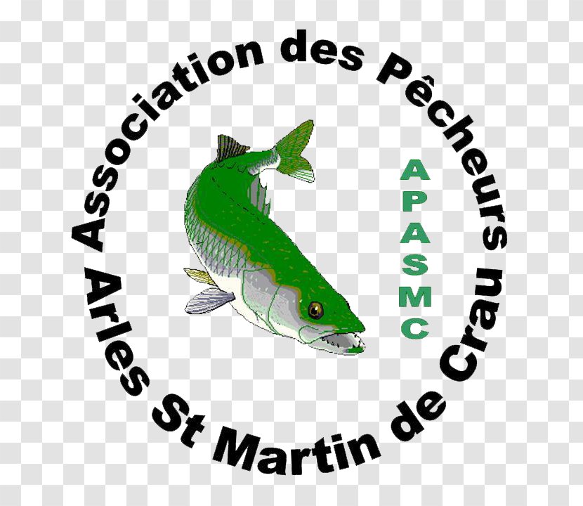 Saint-Rémy-de-Provence Port-Saint-Louis-du-Rhône Association Des Pecheurs Arles - Fauna - St Martin De Crau (Apasmc) Fishing FishermanFishing Transparent PNG
