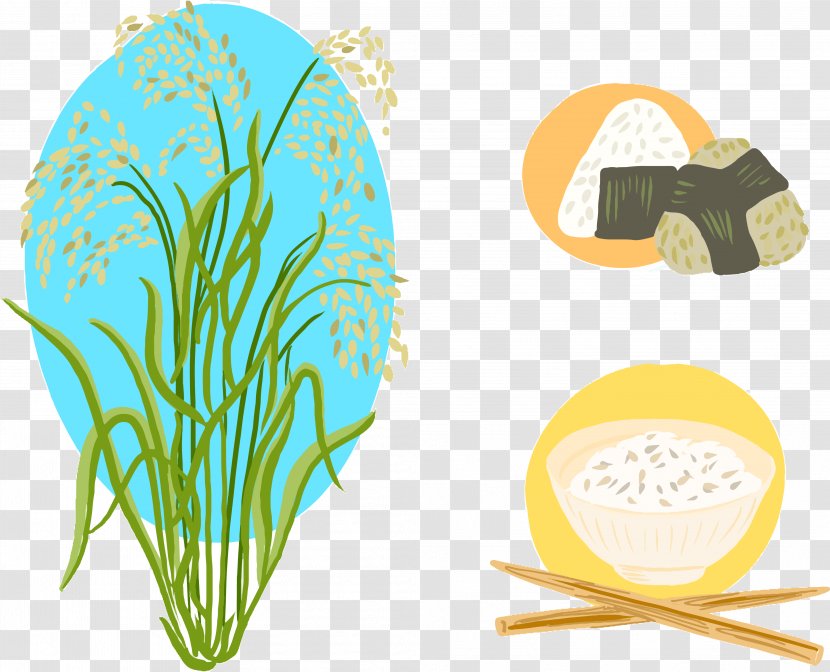 Rice Oryza Sativa Logo Illustration - Grass - Vector And Cartoons Transparent PNG