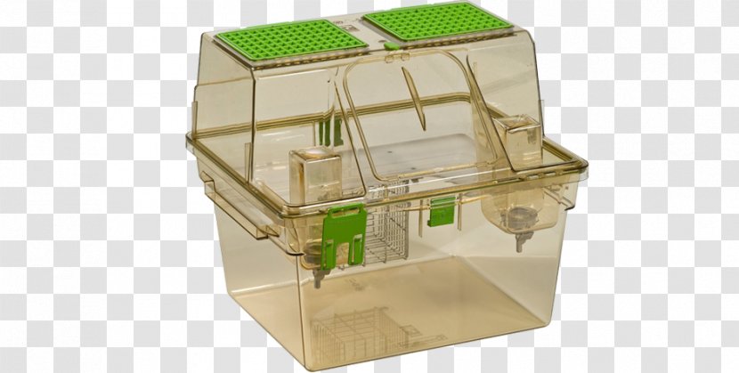 Rat Animal Cage Mouse Space - Box - Cages Transparent PNG
