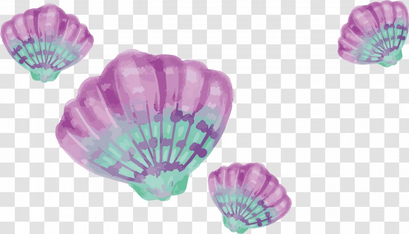 Watercolor Painting Drawing Download - Seashell - Purple Shells Transparent PNG