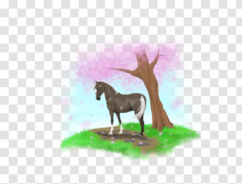 Mustang Stallion Foal Pony Deer - Horse Transparent PNG