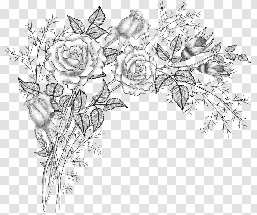 Drawing Visual Arts Flower - Monochrome - Brushes Transparent PNG