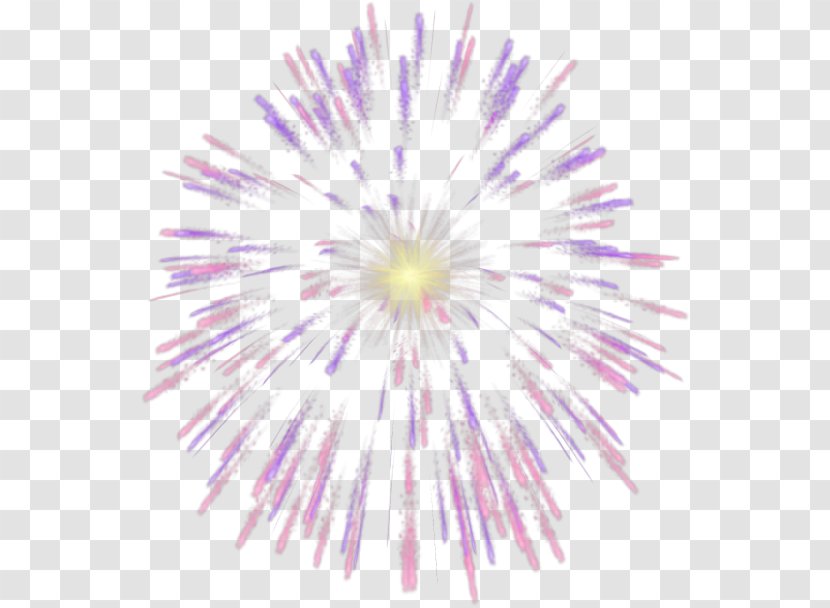 Fireworks Image Vector Graphics Firecracker - Pink - Welcome Page Transparent PNG