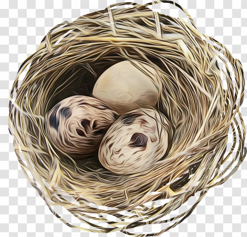 Bird Nest Thread Transparent PNG