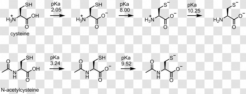 Cysteine Methionine Deprotonation Thiol PKa - Cartoon - Frame Transparent PNG