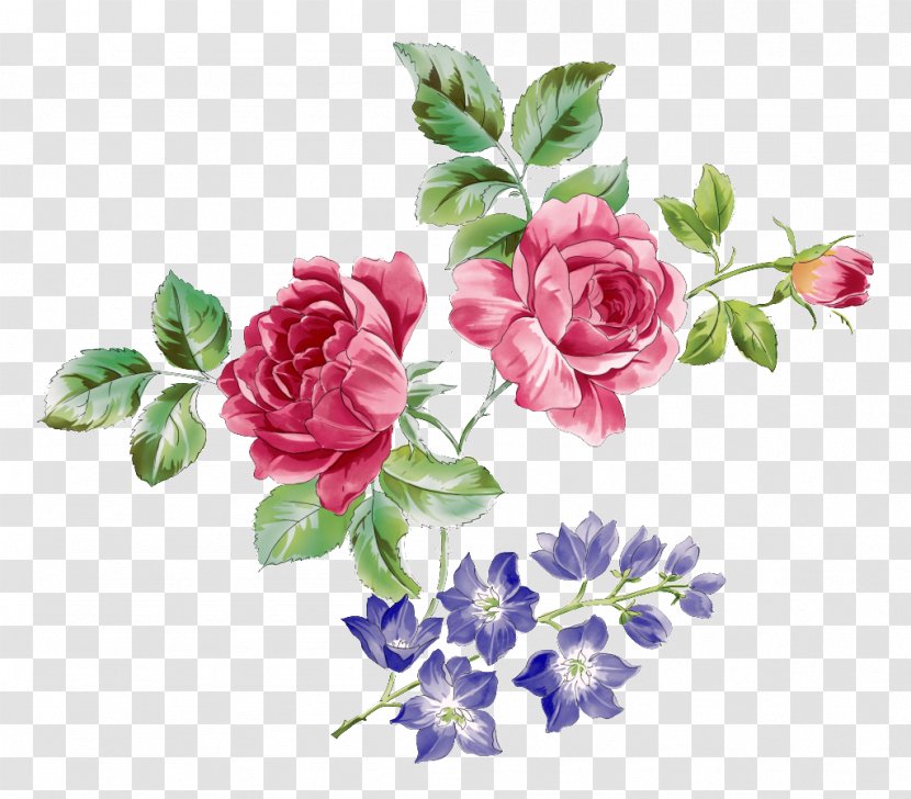 Garden Roses Clip Art Flower - Mawar Canggih Transparent PNG