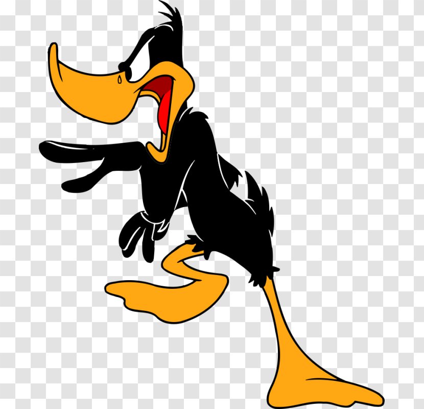 Daffy Duck Donald Bugs Bunny Elmer Fudd Porky Pig - Ducks Geese And Swans Transparent PNG